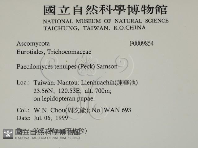 登錄號:F0009854藏品圖，第2張