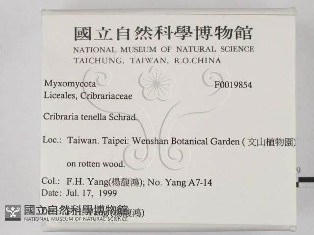 登錄號:F0019854藏品圖，第2張