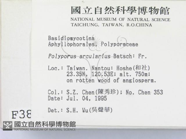 登錄號:F0003854藏品圖，第2張