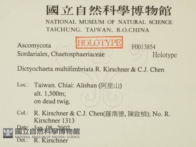 登錄號:F0013854藏品圖，第2張