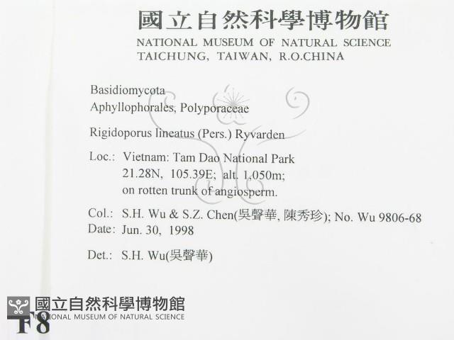 登錄號:F0008954藏品圖，第2張