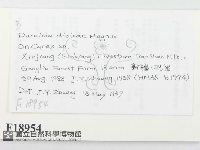 登錄號:F0018954藏品圖，第2張