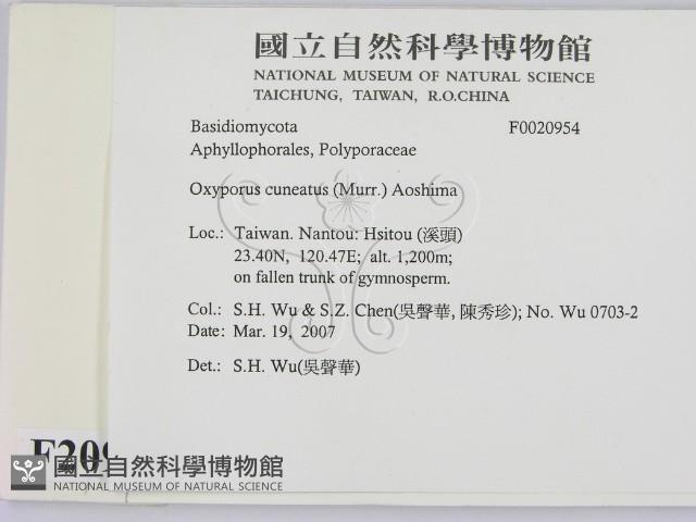 登錄號:F0020954藏品圖，第2張
