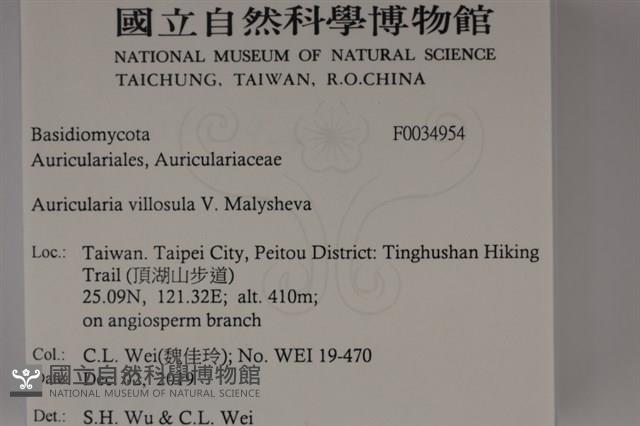 登錄號:F0034954藏品圖，第2張
