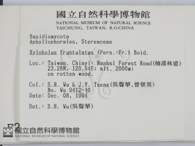 登錄號:F0002954藏品圖，第2張