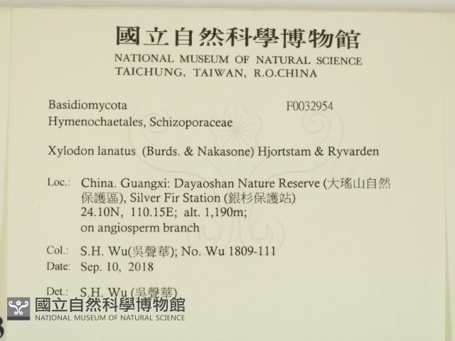 登錄號:F0032954藏品圖，第2張