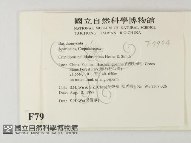 登錄號:F0007954藏品圖，第2張