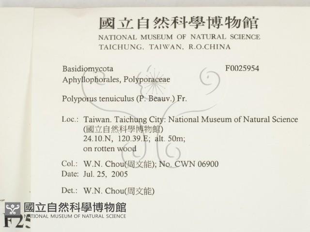 登錄號:F0025954藏品圖，第2張