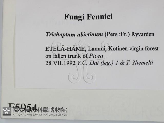 登錄號:F0005954藏品圖，第2張