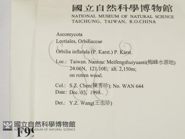 登錄號:F0009954藏品圖，第2張