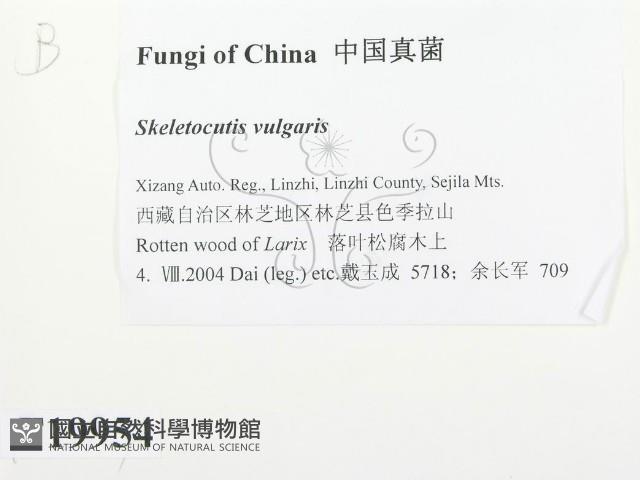登錄號:F0019954藏品圖，第2張