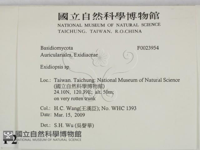 登錄號:F0023954藏品圖，第2張