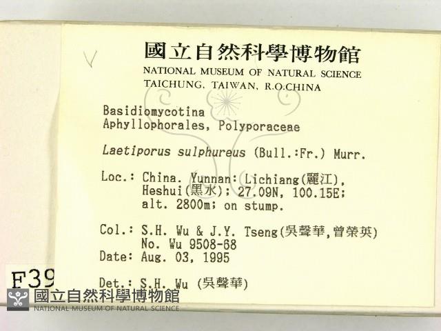 登錄號:F0003954藏品圖，第2張