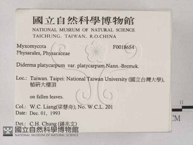 登錄號:F0018654藏品圖，第2張