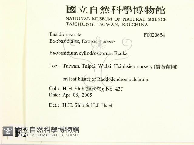 登錄號:F0020654藏品圖，第2張