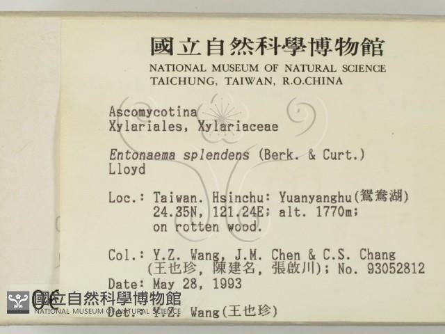 登錄號:F0000654藏品圖，第2張