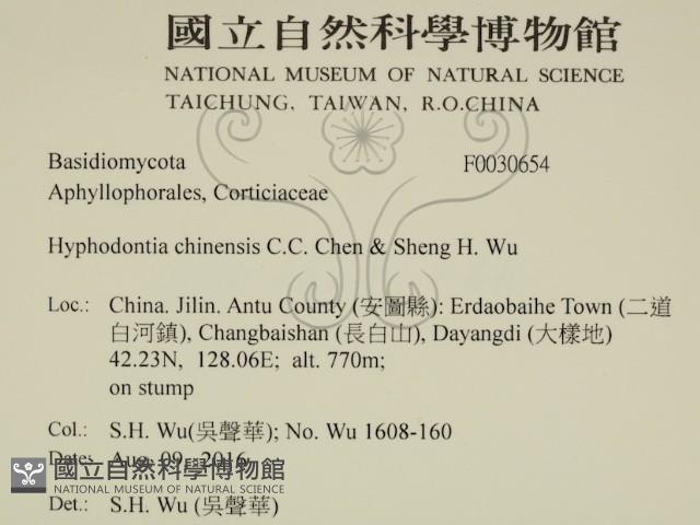 登錄號:F0030654藏品圖，第2張