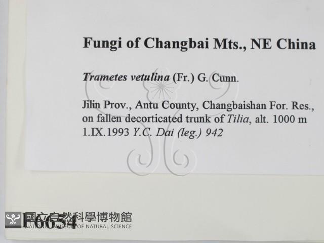 登錄號:F0006654藏品圖，第2張