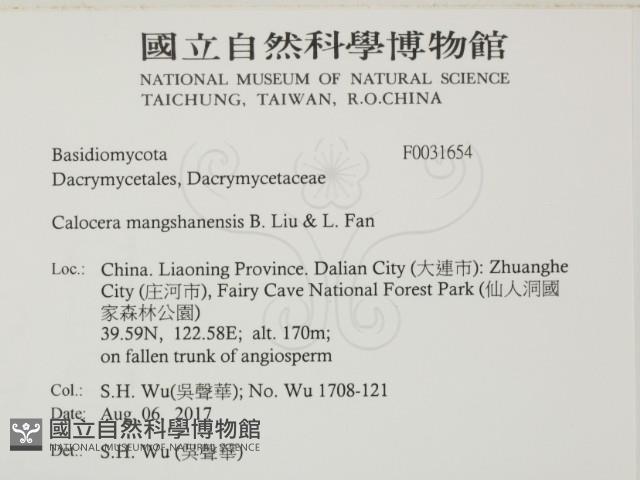 登錄號:F0031654藏品圖，第2張