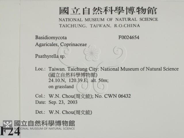登錄號:F0024654藏品圖，第2張
