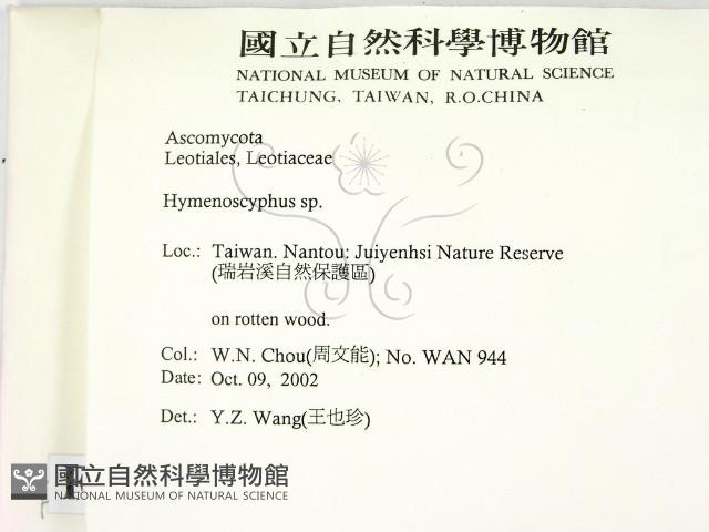 登錄號:F0014654藏品圖，第2張