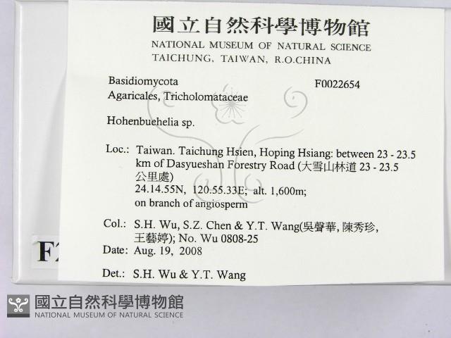 登錄號:F0022654藏品圖，第2張