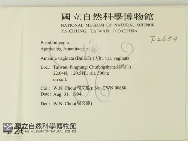 登錄號:F0002654藏品圖，第2張