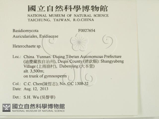 刺皮菌屬藏品圖，第2張
