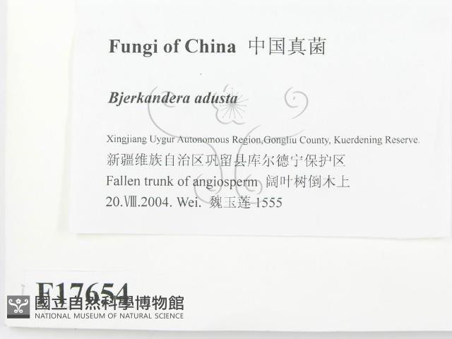 煙管菌藏品圖，第2張