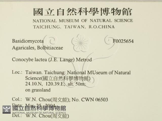 登錄號:F0025654藏品圖，第2張