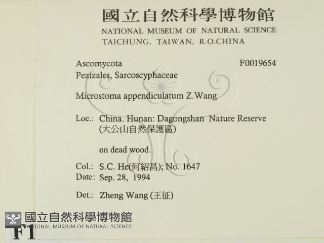 館號:F0019654藏品圖，第2張