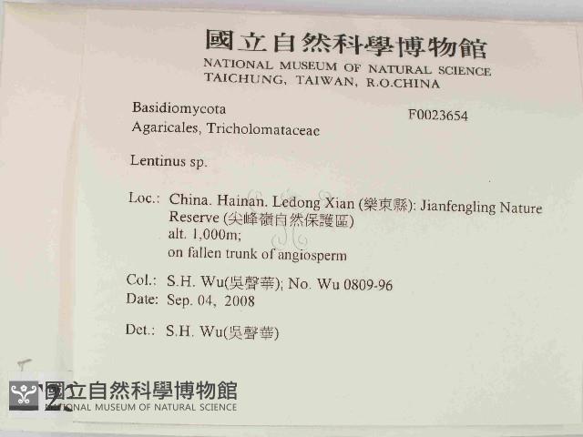 登錄號:F0023654藏品圖，第2張