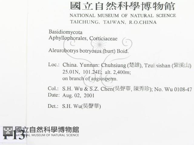 登錄號:F0013654藏品圖，第2張