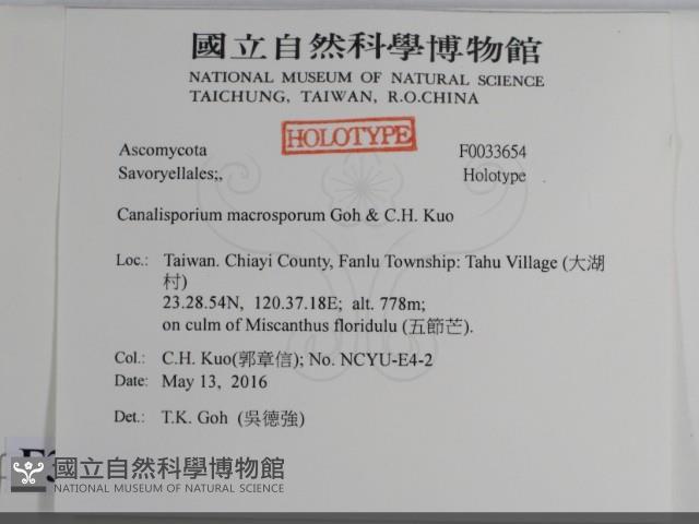 登錄號:F0033654藏品圖，第2張