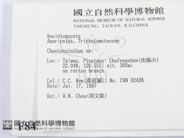 登錄號:F0008454藏品圖，第2張