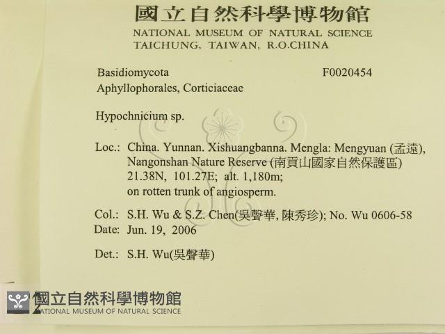 登錄號:F0020454藏品圖，第2張