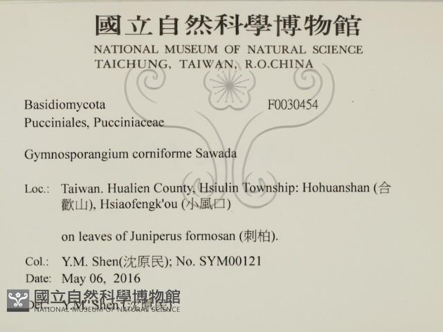 登錄號:F0030454藏品圖，第2張