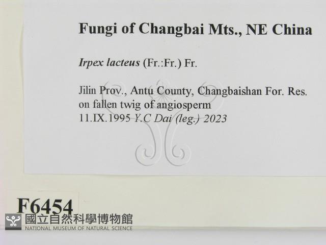 登錄號:F0006454藏品圖，第2張