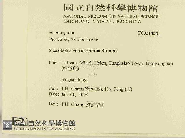 登錄號:F0021454藏品圖，第2張