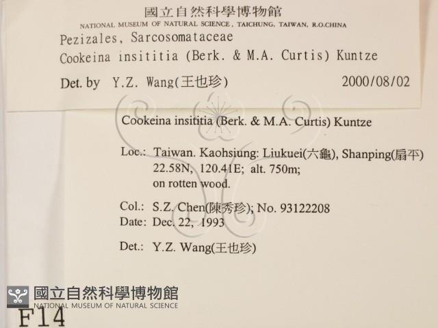 登錄號:F0001454藏品圖，第2張