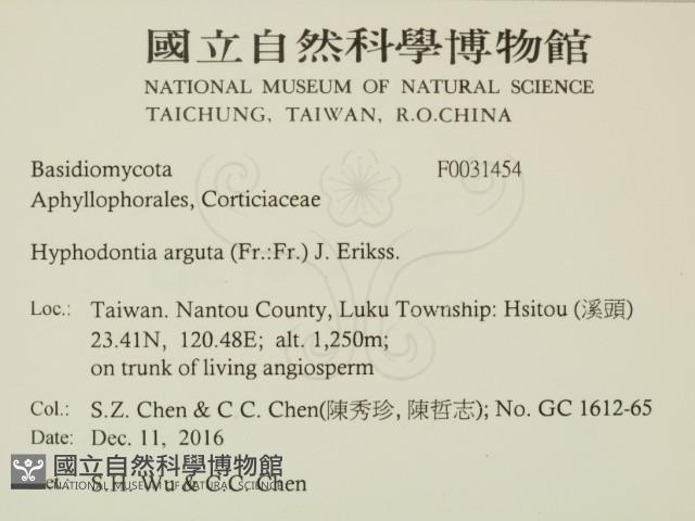 登錄號:F0031454藏品圖，第2張