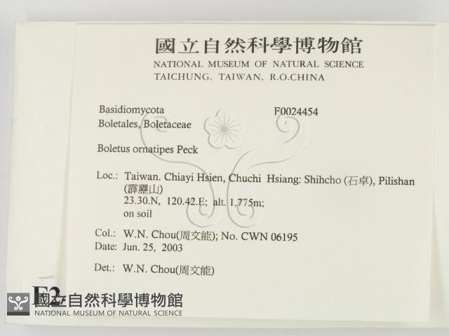 登錄號:F0024454藏品圖，第2張