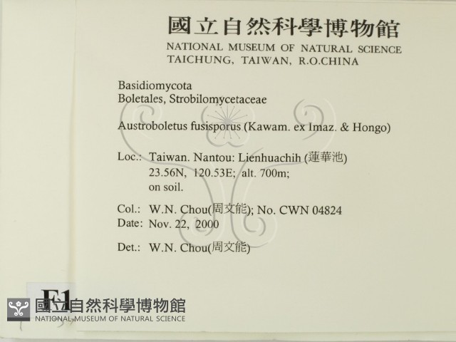 登錄號:F0014454藏品圖，第2張