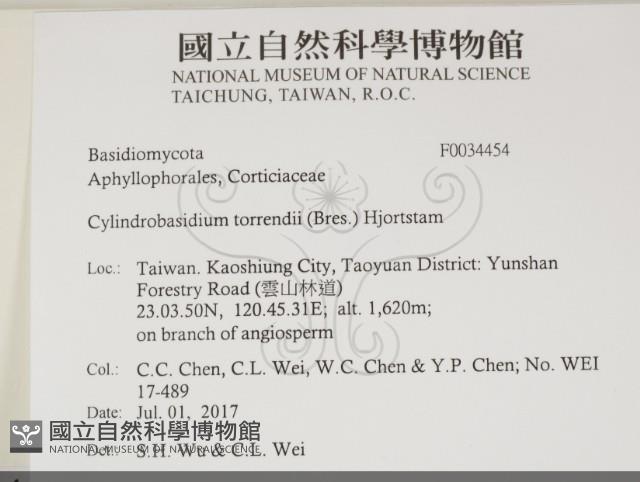 登錄號:F0034454藏品圖，第2張