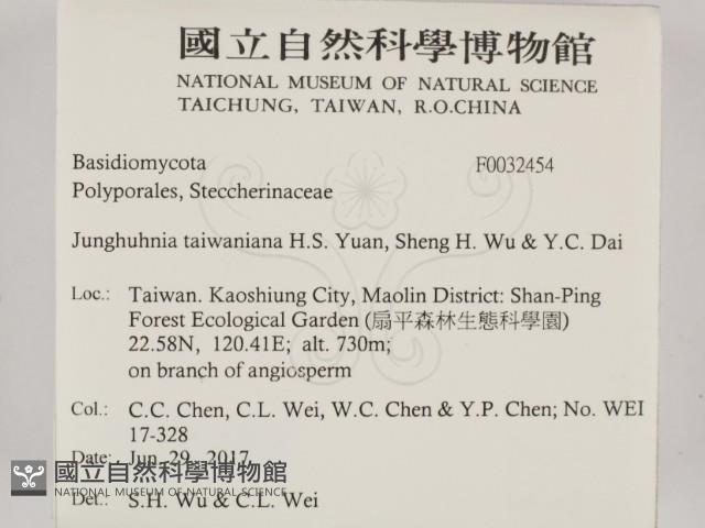登錄號:F0032454藏品圖，第2張