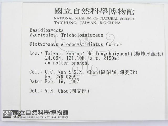 登錄號:F0007454藏品圖，第2張