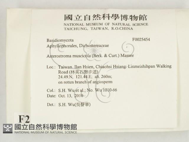 登錄號:F0025454藏品圖，第2張
