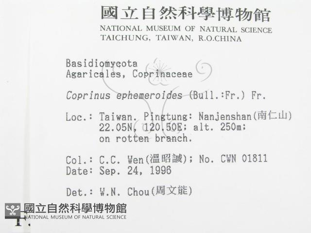 登錄號:F0005454藏品圖，第2張