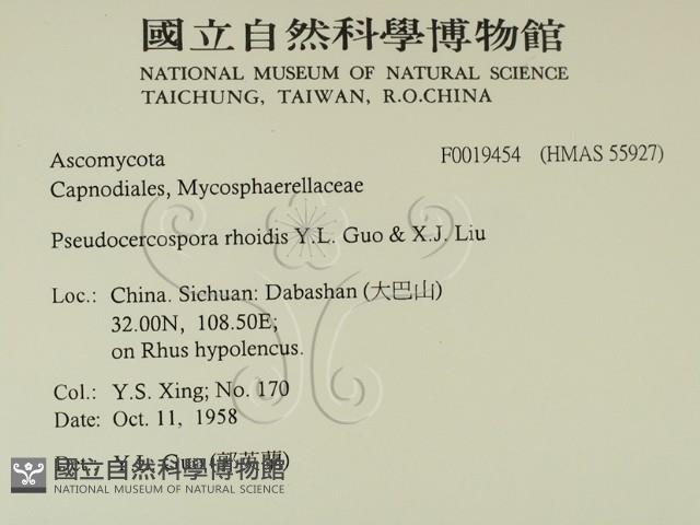 登錄號:F0019454藏品圖，第2張
