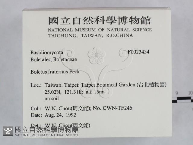 登錄號:F0023454藏品圖，第2張